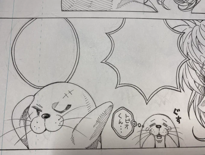 今日のアザラシです🦭 