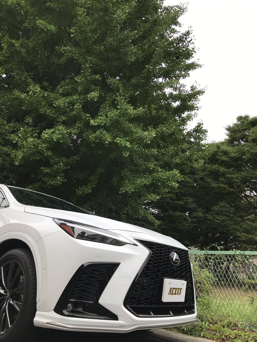 kakef_NX_350h's tweet photo. おはようございます😄
昨夜は始めてエアコンを使わず就寝😴
今日は、はっきりしない天気です☁️
最近、定番となりつつある😅
ポン付けパーツが続々納品😒
僅か1週間と納期も短縮👍
とりあえず付けて見た✨
このままでも、いい感じ🫠
#レクサスNX
#KUTOOK https://t.co/CcM4CydNVR
