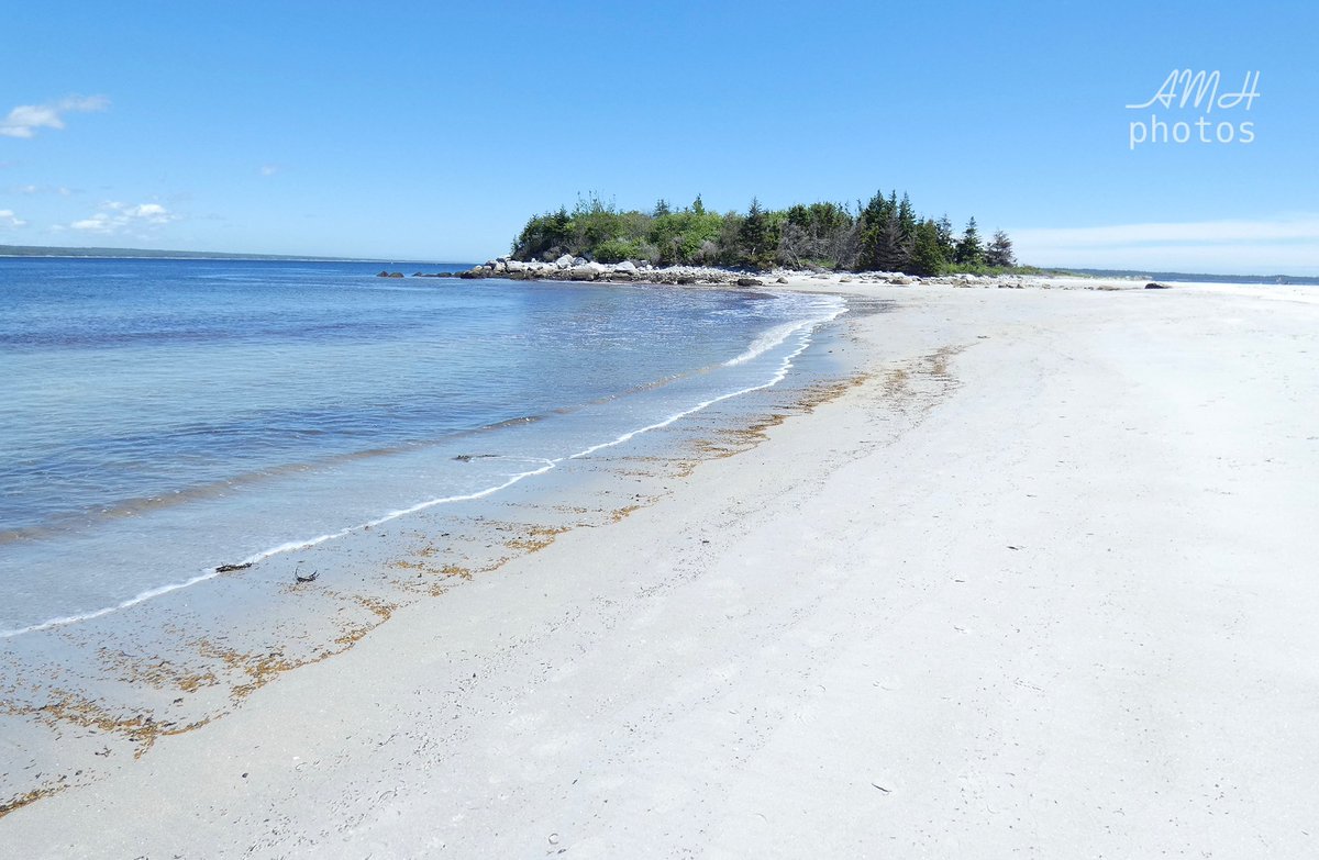 Will probably be the closest I’ll ever get to a Caribbean beach 🏖 The white sand is so pretty on the south shore 

#cartersbeach #flashback #southshorens #visitnovascotia #getoutsidens #roadtrip #beachesofinstagram #novascotiaadventures #halifaxphotographer #amhphotos 06.10.22