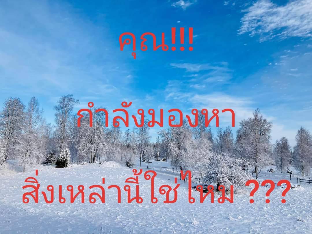 BtlfKhom's tweet photo. #รายได้รายวัน
#รายได้ออนไลน์
#ทำเงินจากเน็ต
#ทำเงินจากโทรศัพท์
#ออนไลน์เปลี่ยนชีวิต 
#ออนไลน์พลิกชีวิต
#WFH #งานออนไลน์
ดูรายละเอียดงานตามลิงค์
https://t.co/NS5ZpN1qTn 
รับจำกัดเพียงวันล่ะ 5 คนเท่านั้น
หรือแอดไลน์ @khom135 https://t.co/DHPzYIRmB2