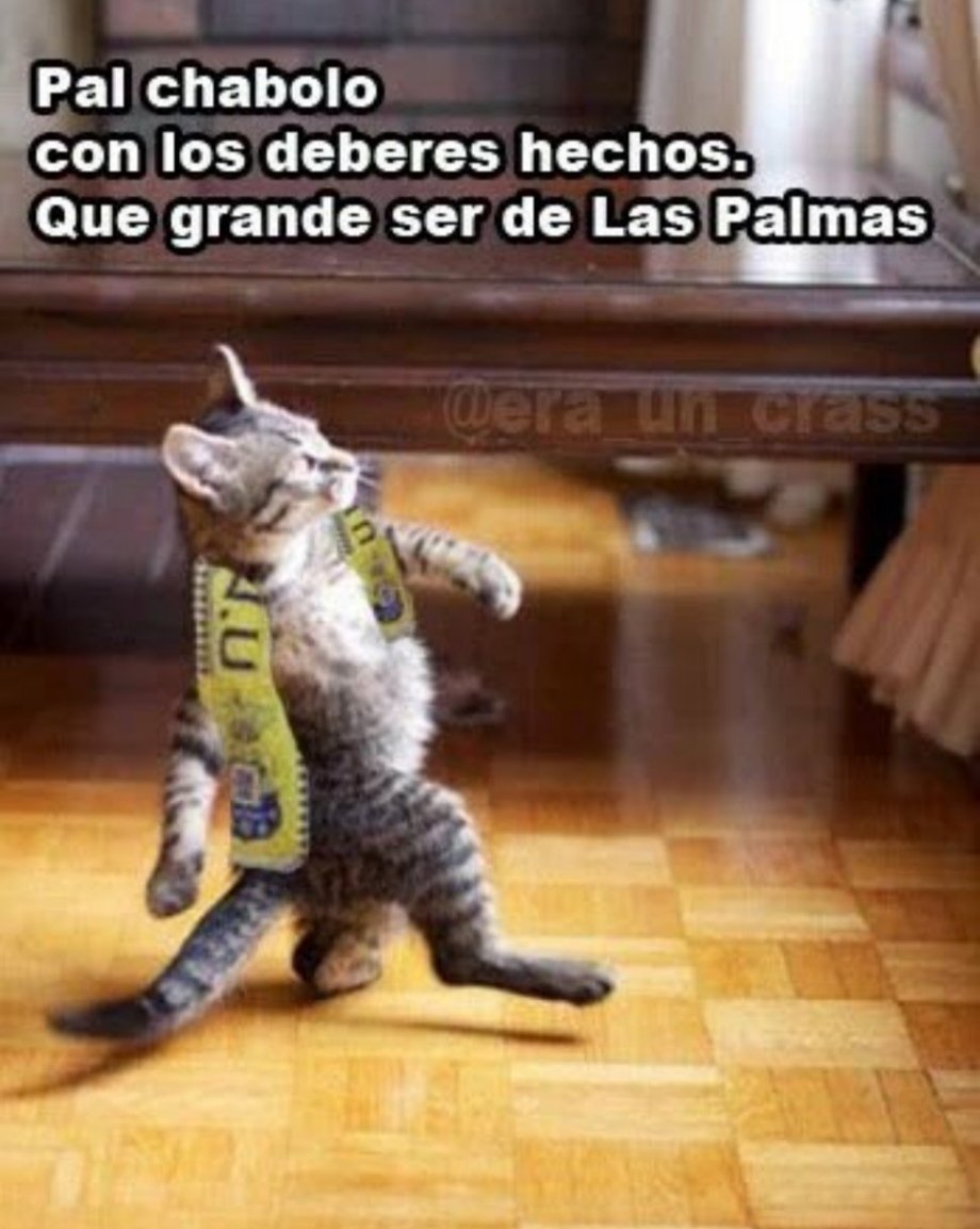 erauncrass's tweet photo. Tamañana 💛💙 https://t.co/NCiPZNot9O