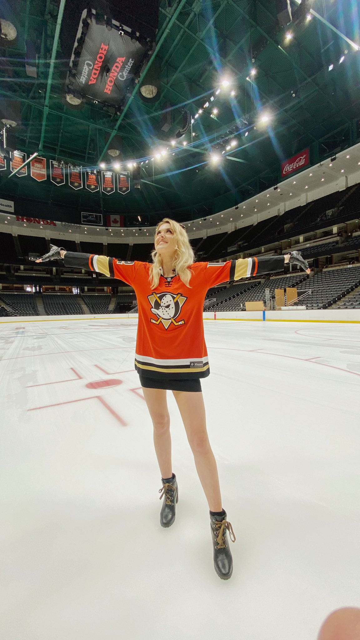 Anaheim ducks on twitter geometric twitter