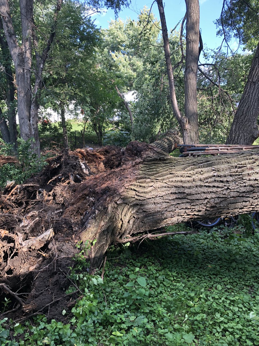 BFD_MN's tweet photo. 9600 block of Portland &amp; Oakland Avenues without power after a large tree was blown down late this afternoon. Two homes with significant structural damage. Also, damage to power pole &amp; power lines to numerous homes. @XcelEnergyMN on scene working to restore power. No injuries. https://t.co/Ae4xbz88rS