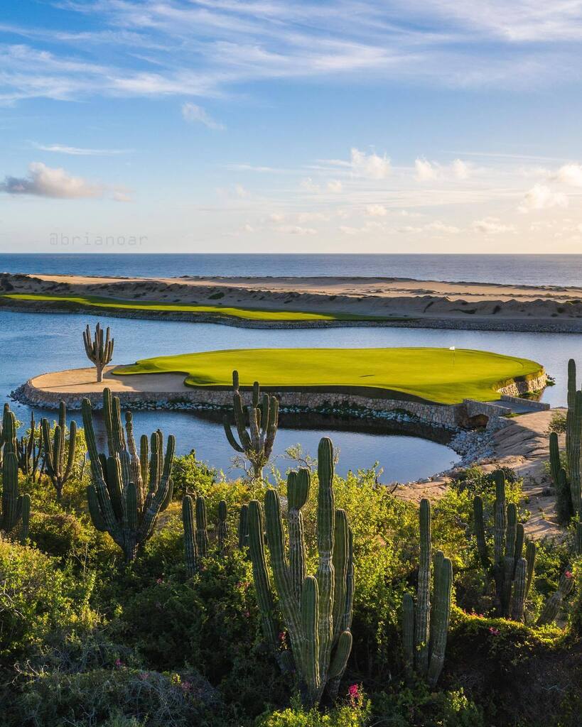 BrianOarGolf's tweet photo. This one graced a few nice publications π³ photo: @BrianOar
β³οΈ Rancho San Lucas β³οΈ
#ranchosanlucas #linkmagazine #newyorktimes #golfphoto #golfphotography #golfcoursephotography #brianoar #golfpic #golfimages #linksgolf #golftrip #golfvacation #golfdestination #golfisfun #g⦠https://t.co/V9NEy8keSs