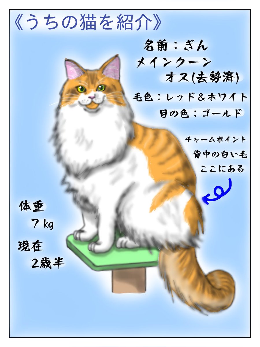 22a W新作送料無料 色鉛筆画 水彩画 絵 猫 メインクーン Tech Muhoko Org