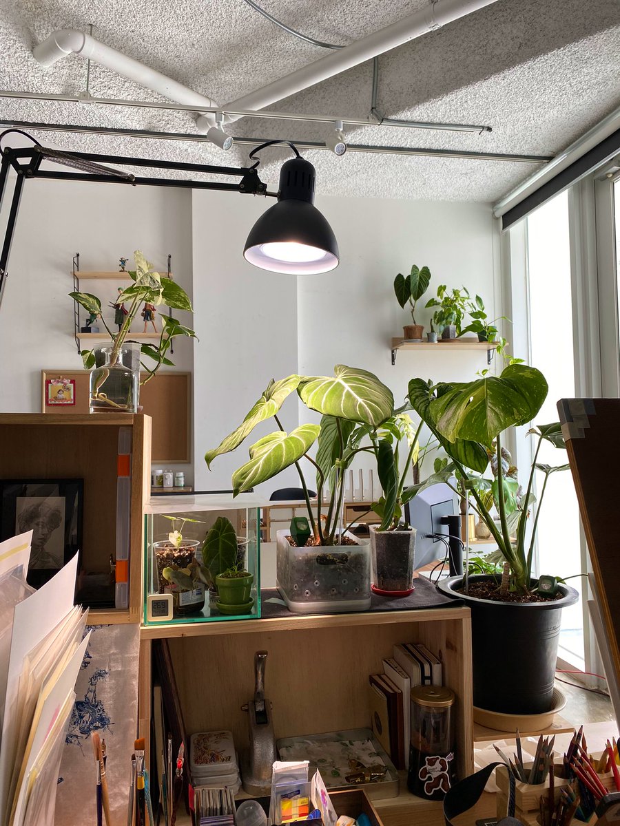 GMGN🌿 #uniquelabart #superani