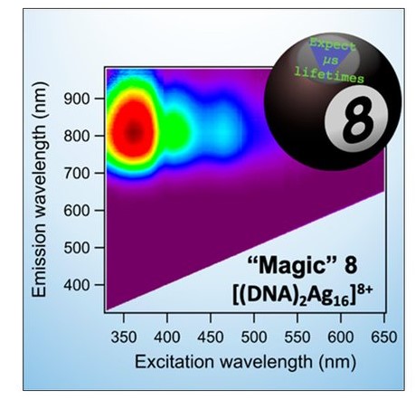 MSEUCI1's tweet photo. Check Out the New Paper Professor Copp’s Lab has on DNA Stabilizes Eight-Electron Superatom Silver Nanoclusters with Broadband Downconversion and Microsecond-Lived Luminescence.
Read more: https://t.co/FJXcTNDkK3 https://t.co/HMApJa6McT