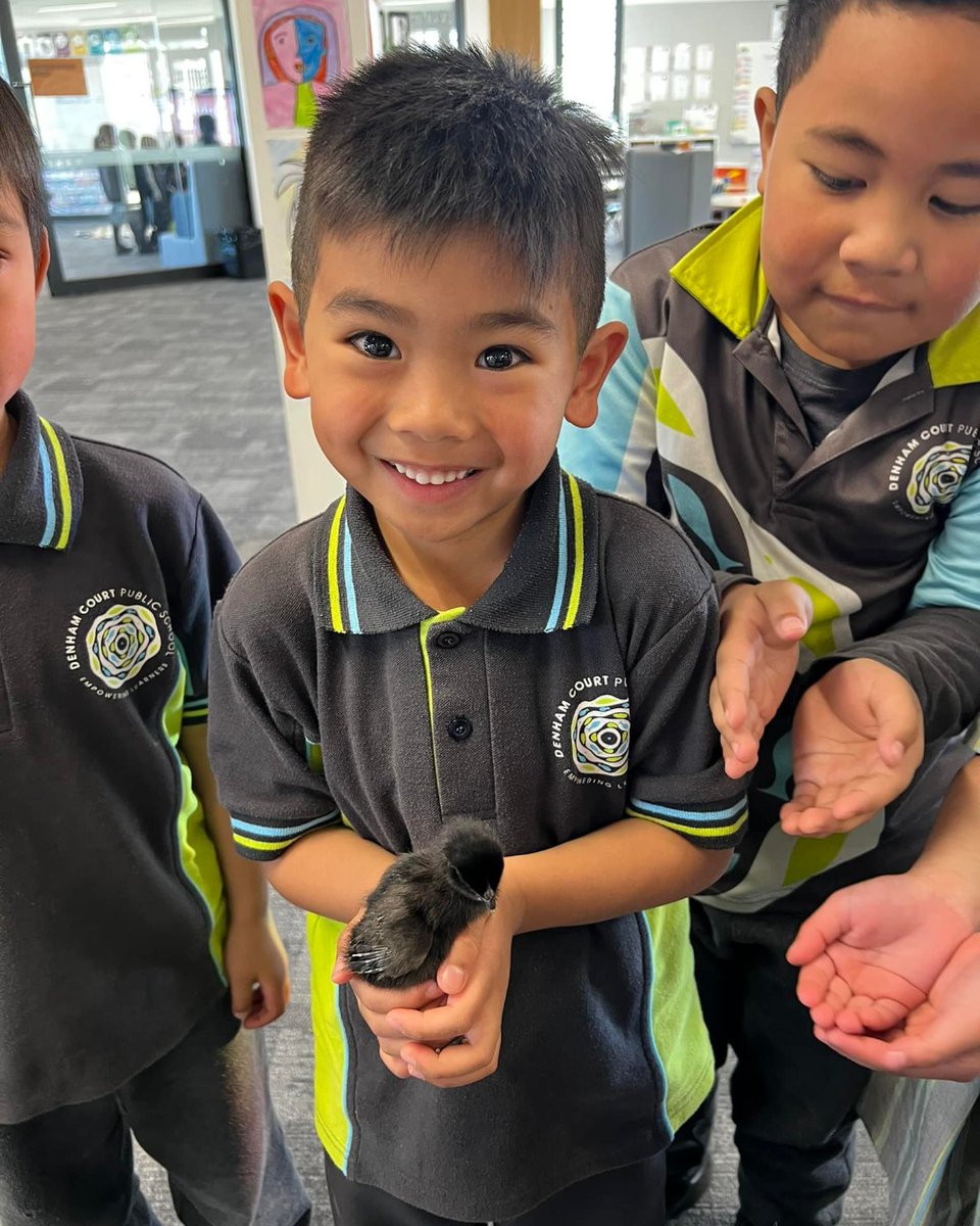 NSW Dept of Education tweet media