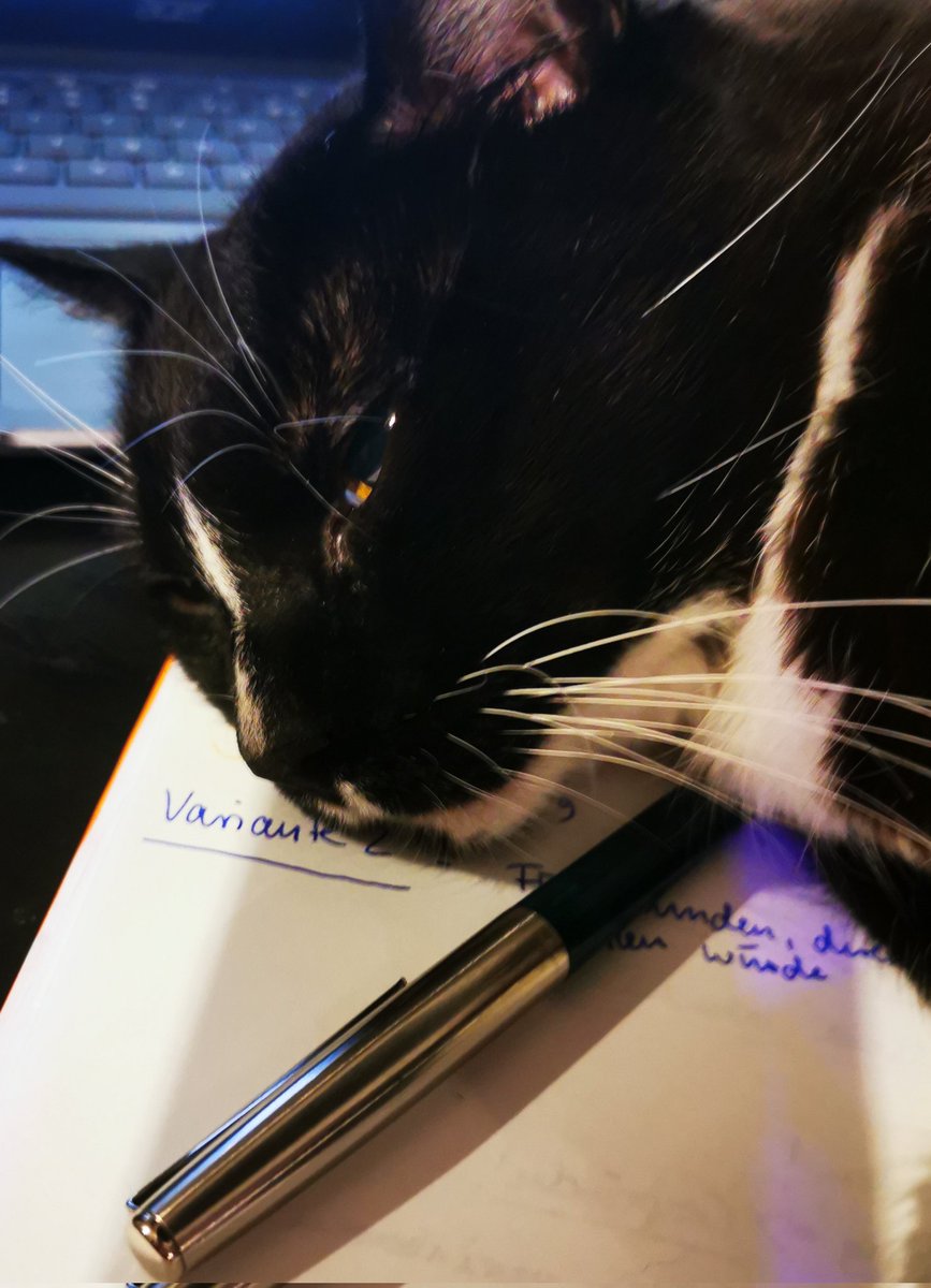 Was haben Katzen mit Copywriting zu tun❓

Finde es heraus❗

⬇️instagram.com/havel_hexe/

#copywriting
#cooycat #germancopywriting #StandWithUkraine
#9EuroTicket #homeoffice #freelancer #cat #katze