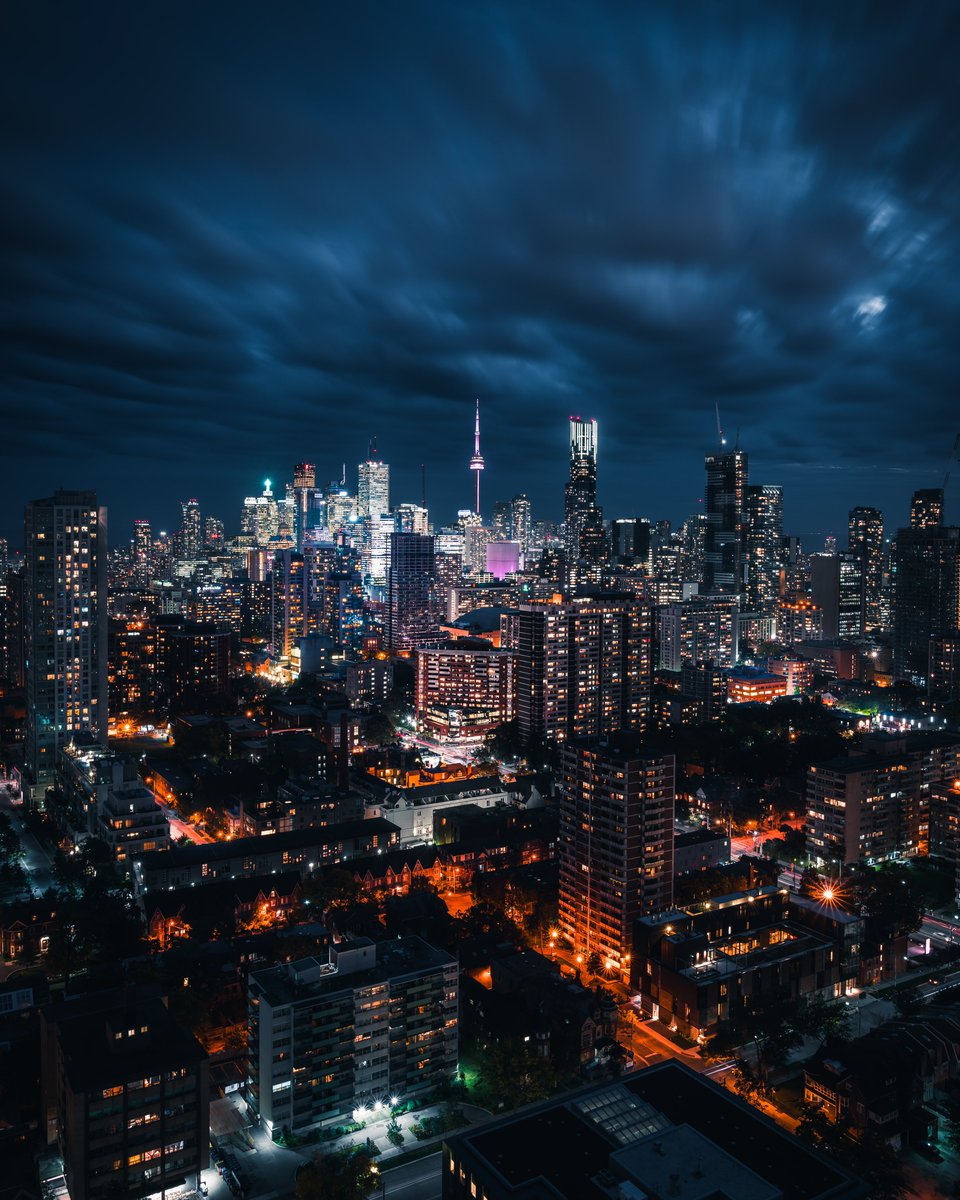 This is Toronto 🦇