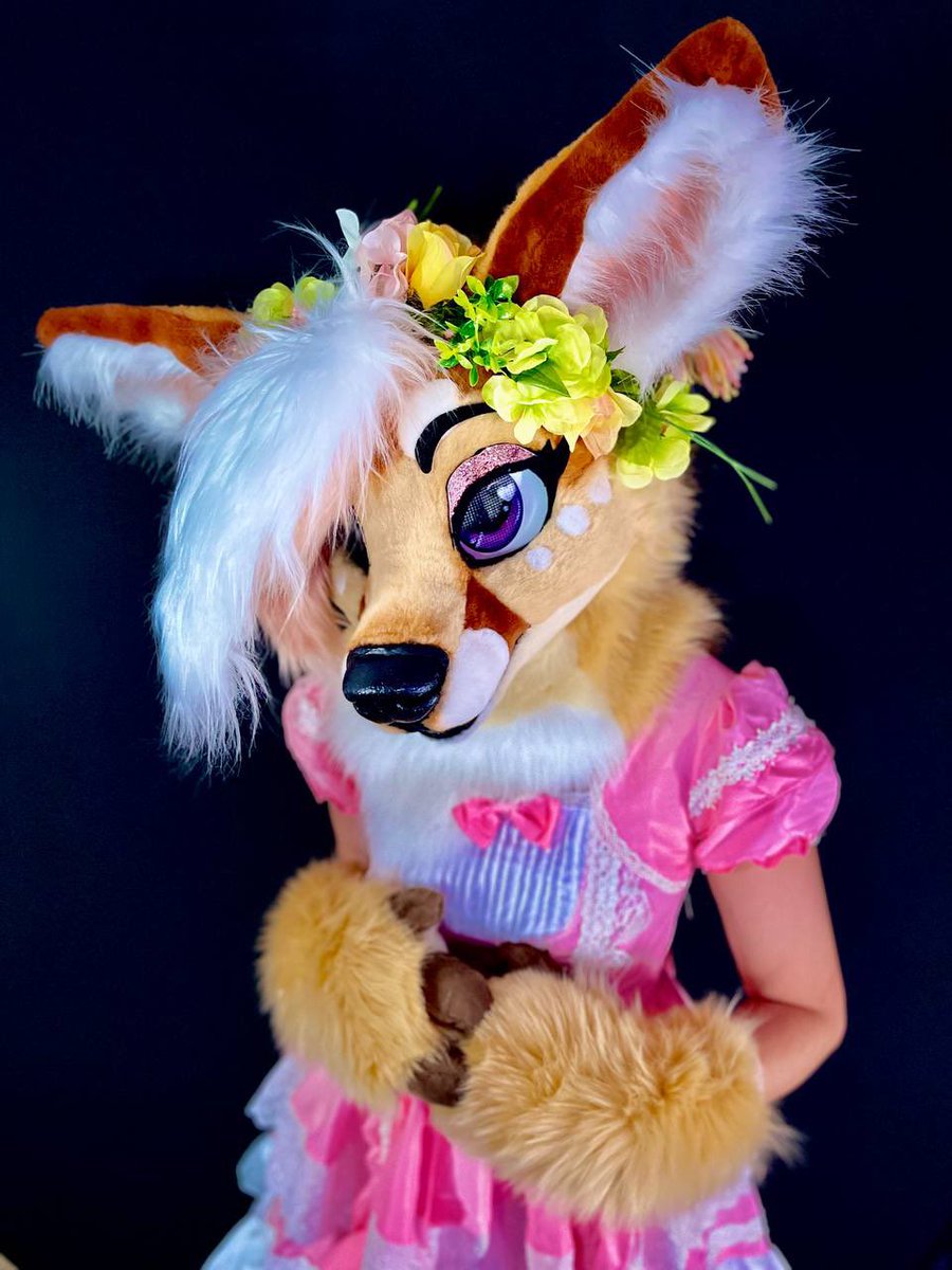 Splat Fennec 🔜 FWA tweet media