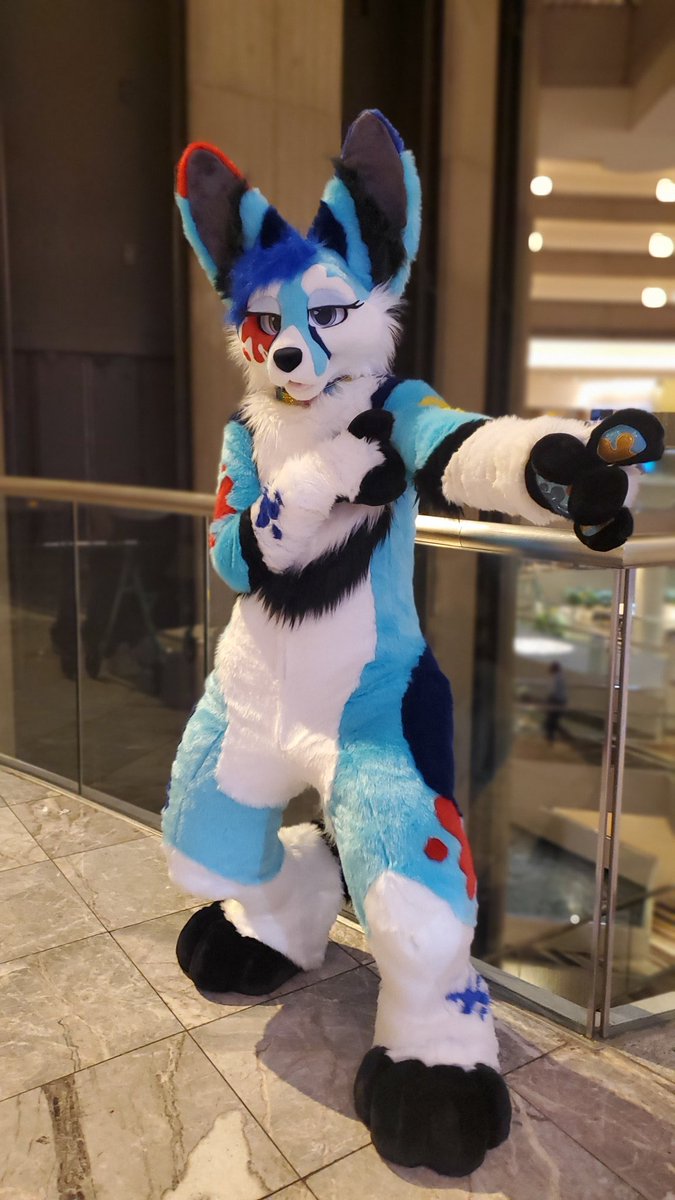 Splat Fennec 🔜 FWA tweet media