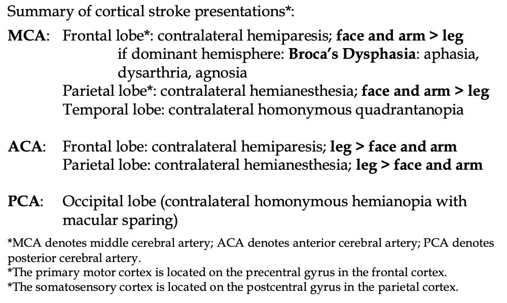 SouthEmergency's tweet photo. Hey #MedStudents! Here's a quick cool awesome guide on cerebral stroke presentations. Gotta know it! Stay tuned for brainstem stroke table...
#FOAMed #Neurology https://t.co/WQ6AMBl57O