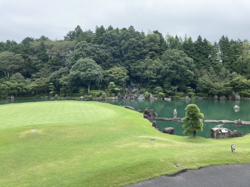 ハリー、 tweet media