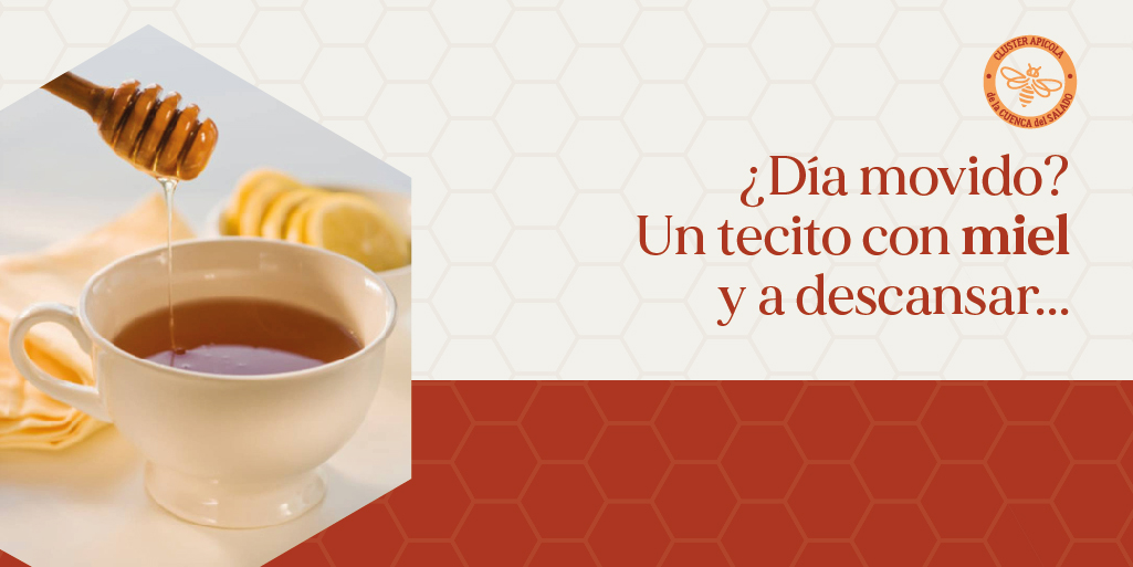 clusterapicola's tweet photo. Nada más relajante que un tecito con miel antes de descansar 🍯💤

Si querés formar parte del Cluster comunicate con nosotros al ☎️+54 249 469 3118 o por nuestra web 🌐 https://t.co/PooKyrzHD2

LA CALIDAD DE NUESTRA MIEL COMIENZA EN EL APIARIO🍯🐝
#Clusterapicola #apicultura https://t.co/8dG9doOQVQ