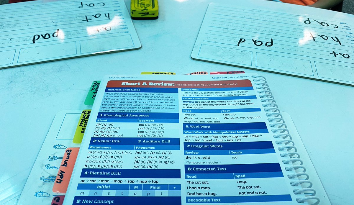 Stacy Johnson 🌱 tweet media