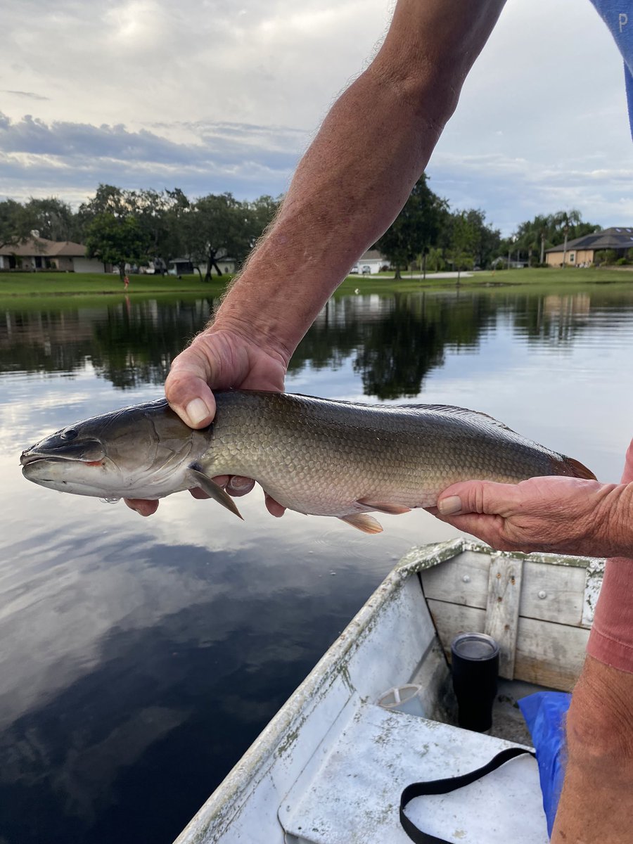 Chris Cartin tweet media