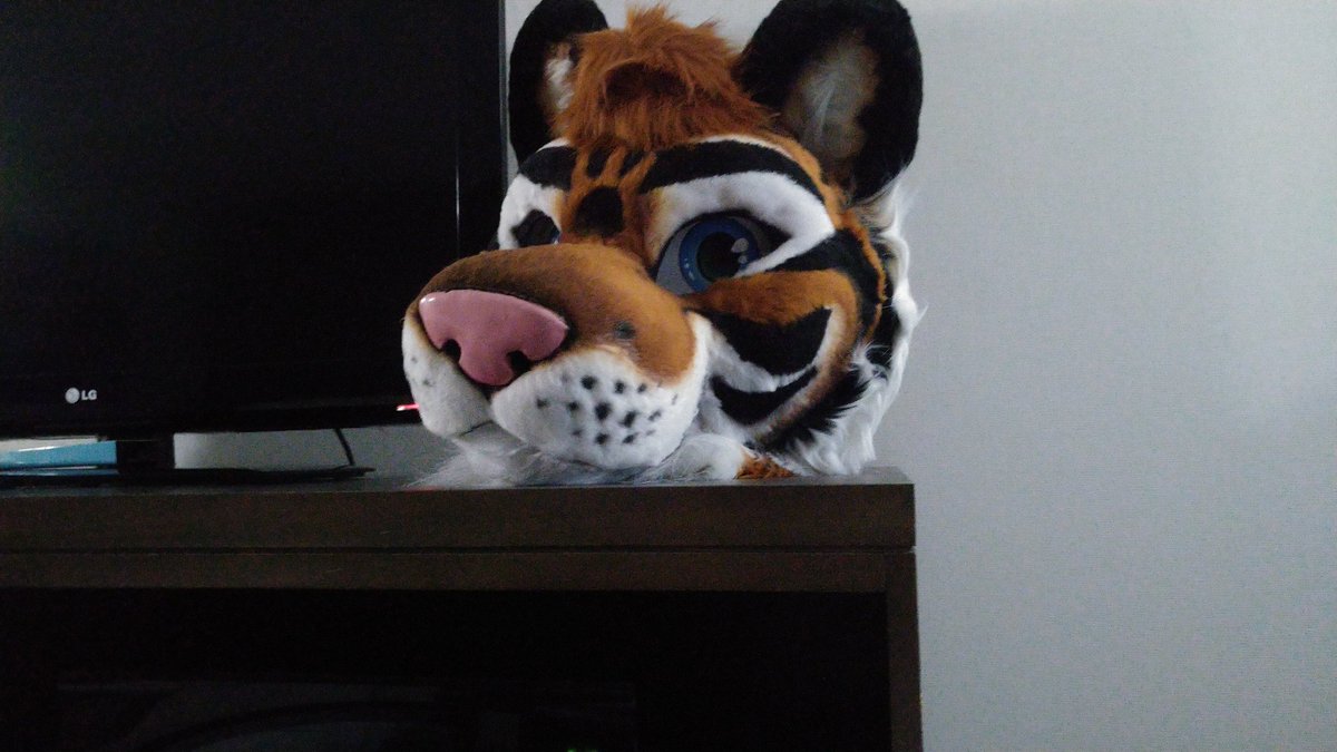 LuckyTiger33's tweet photo. Made it to Toronto! And I feel watched~ https://t.co/lFs0ipD2Gg