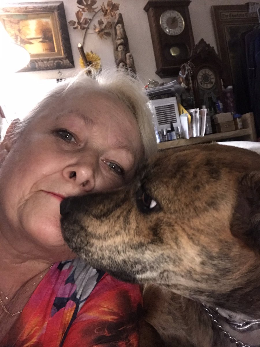 Wisorkm's tweet photo. @dog_rates @Trupanion This is Lacy. I have had Dobermans most of my life got Lacy for my Dobie Cody more than for me .She was in a cage 8/10 hours a day &amp; 1 1/2 yrs old. Shes been good with all our farm animals and my 2Chihuahua’s. She’s my 1st pit,I’m very happy to took the chance to save her! https://t.co/ASFjmRwvNq