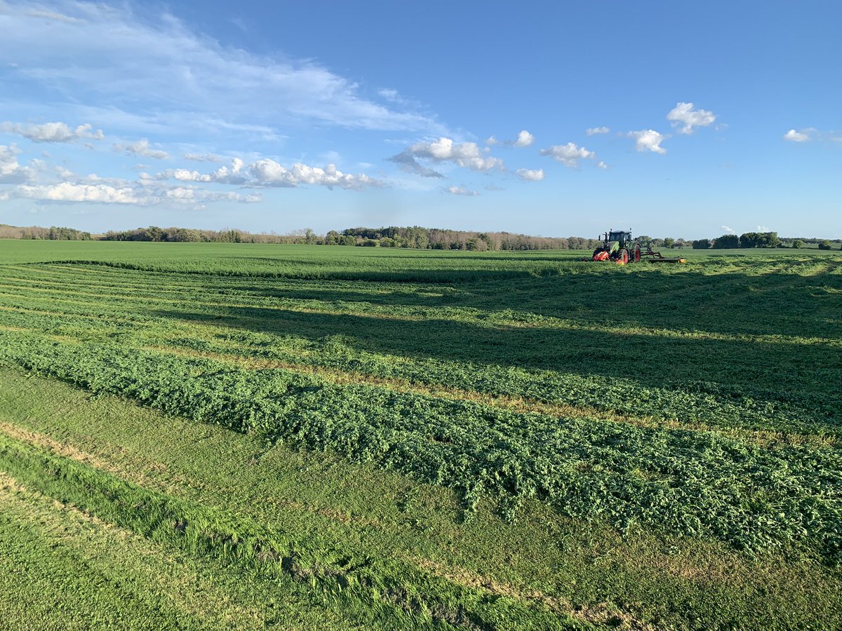 Ross Bender tweet media