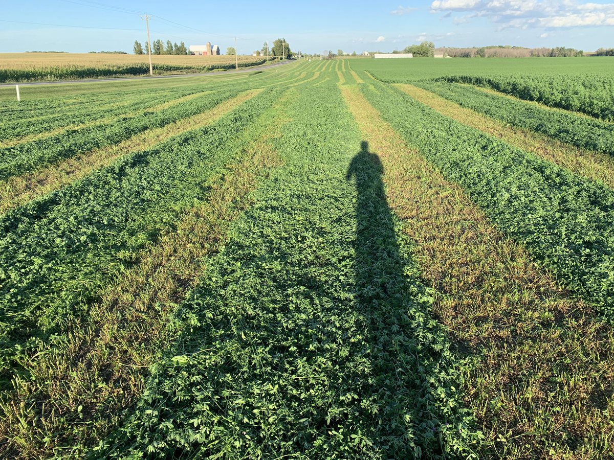 Ross Bender tweet media