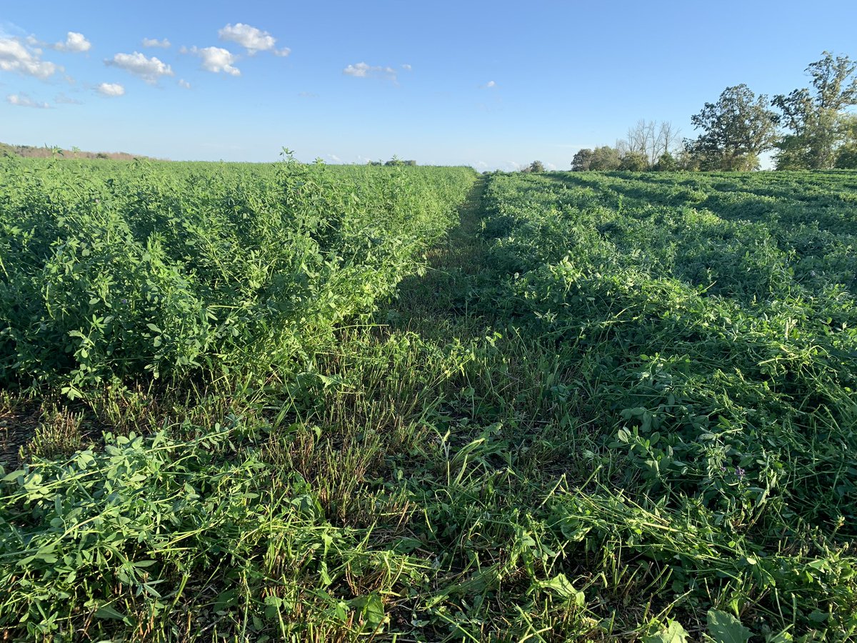 Ross Bender tweet media