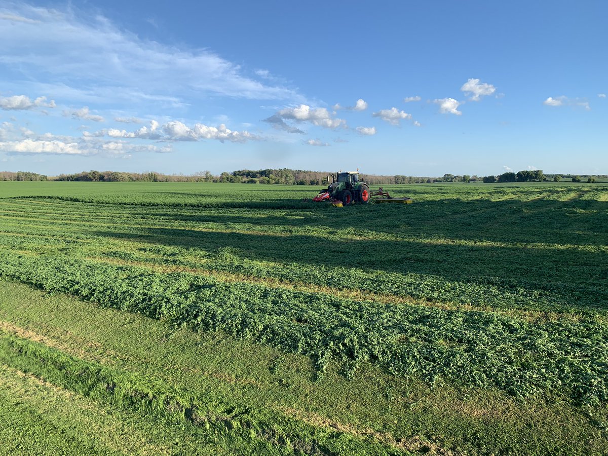 Ross Bender tweet media