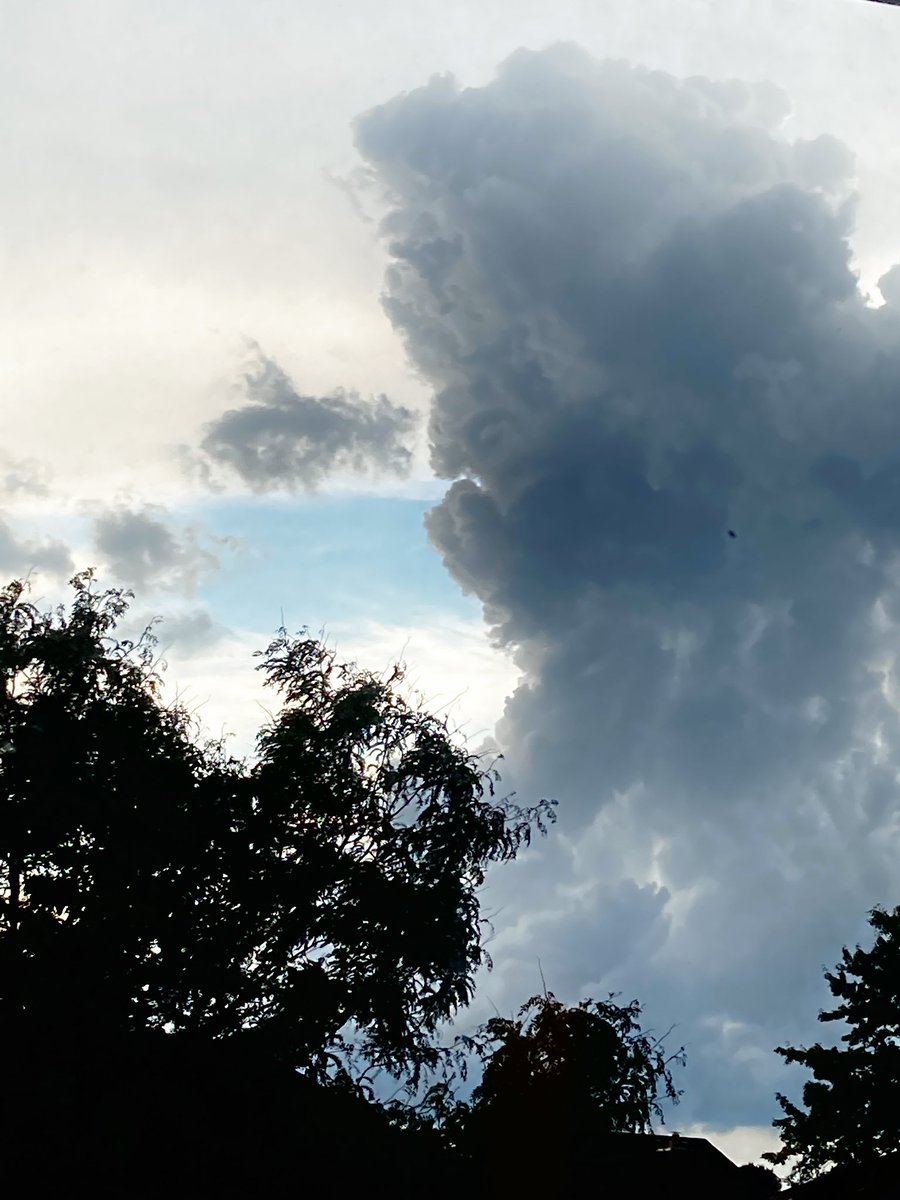 RuqqaiyaN's tweet photo. It's rolling in and taking over....London, ON #onstorm https://t.co/kjm5pW9Z8D