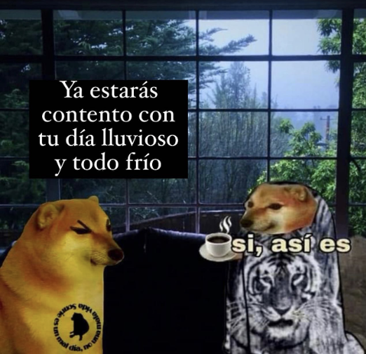 Guarromantico_'s tweet photo. https://t.co/UFgwxwD4fM