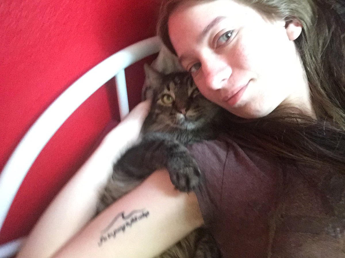 ally_saurus_'s tweet photo. I am on the terminal cat side of TikTok now and it’s been bringing up so many emotions. I miss my baby boy so much so here are some of my fav pics of him bc the world needs to see his fluffernut (honestly Twitter doesn’t allow enough pics so I might add later on) https://t.co/pTFAZCSGM4