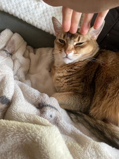 저 이쁜애를 매번 저렇게 ㅋㅋㅋㅋㅋㅋㅋ