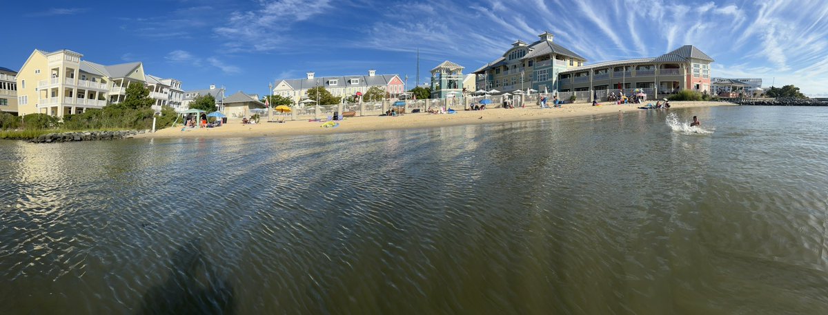 BuchwaldHelene's tweet photo. Loving life. @ocmd @ocmdsunset https://t.co/ytNZ3JyUHa