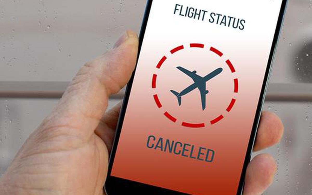 Riley Dempsey tweet media