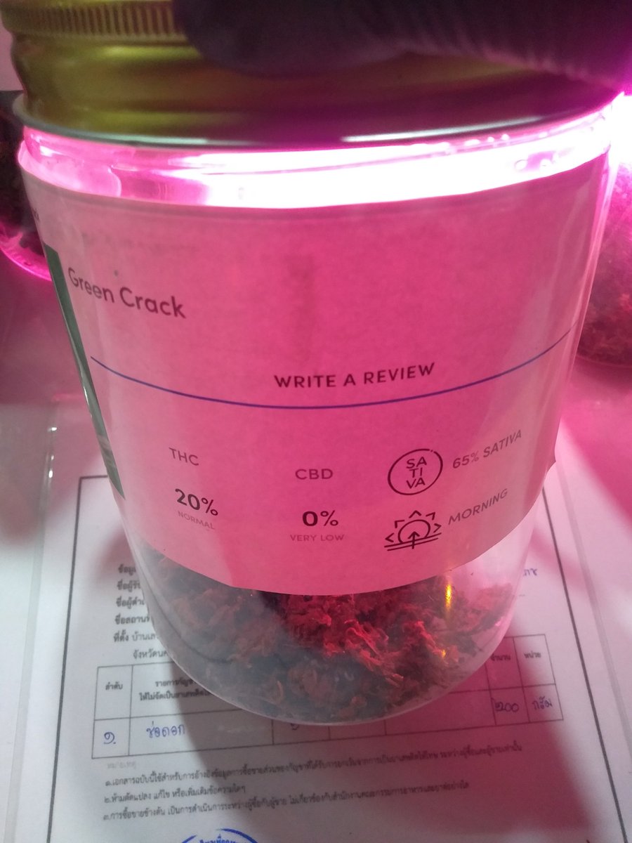 tlosorock's tweet photo. (Green Crack) จะเป็นดอกOGเราก็มี
ต้องบอกก่อนว่าตัวนี้THCไม่เหมือนในรูป
THCตัวนี้จริงๆของเราจะอยู่ที่8-10%
เป็นของเกรดไม่ค่อยดีมากแต่ก็ดี
ถ้าสำหลับคนที่อยากดูดแบบนุ่มๆงบไม่มากจะแนะนำตัวนี้เมาช้าแต่เมานะ
เริ่มต้นที่
1G  50
2G  100
3G  150
4G  200
#กัญชา #กัญชาชนมือโคราช
#ซอย30กันยา https://t.co/QUmHwd2DsI