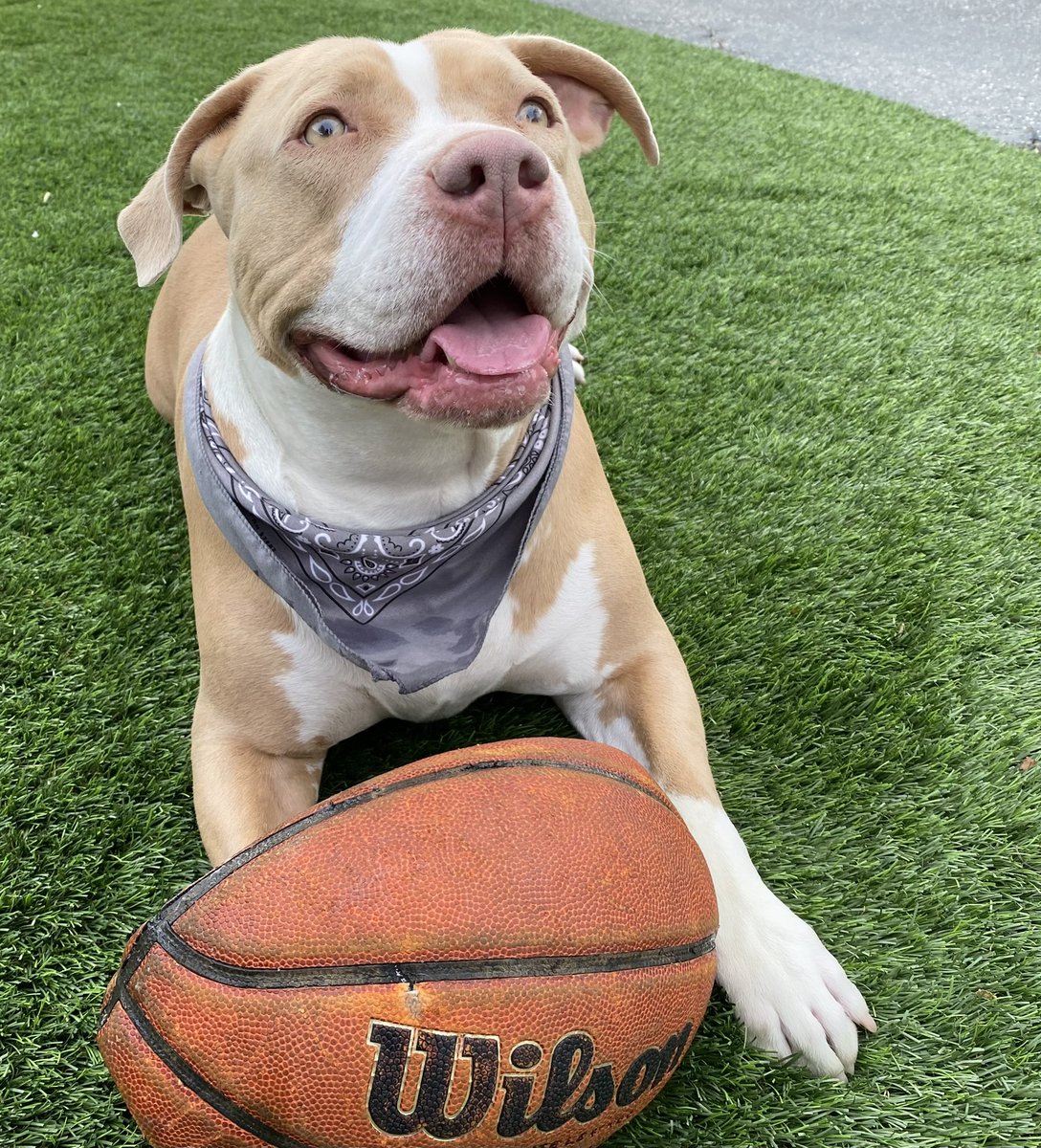 Adam Arkin tweet media