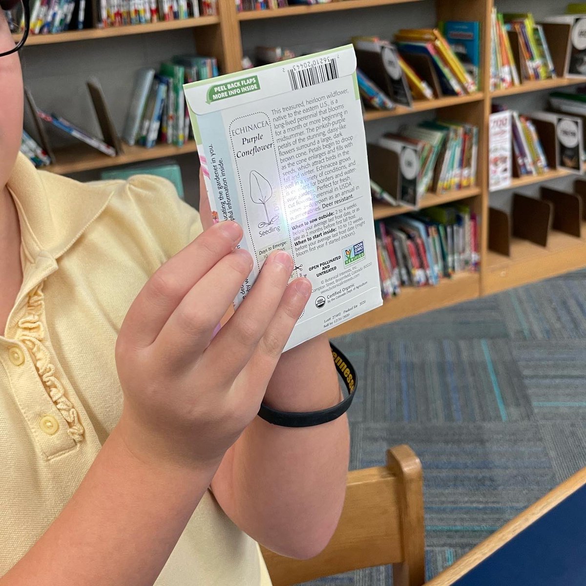 Amy Jerome tweet media