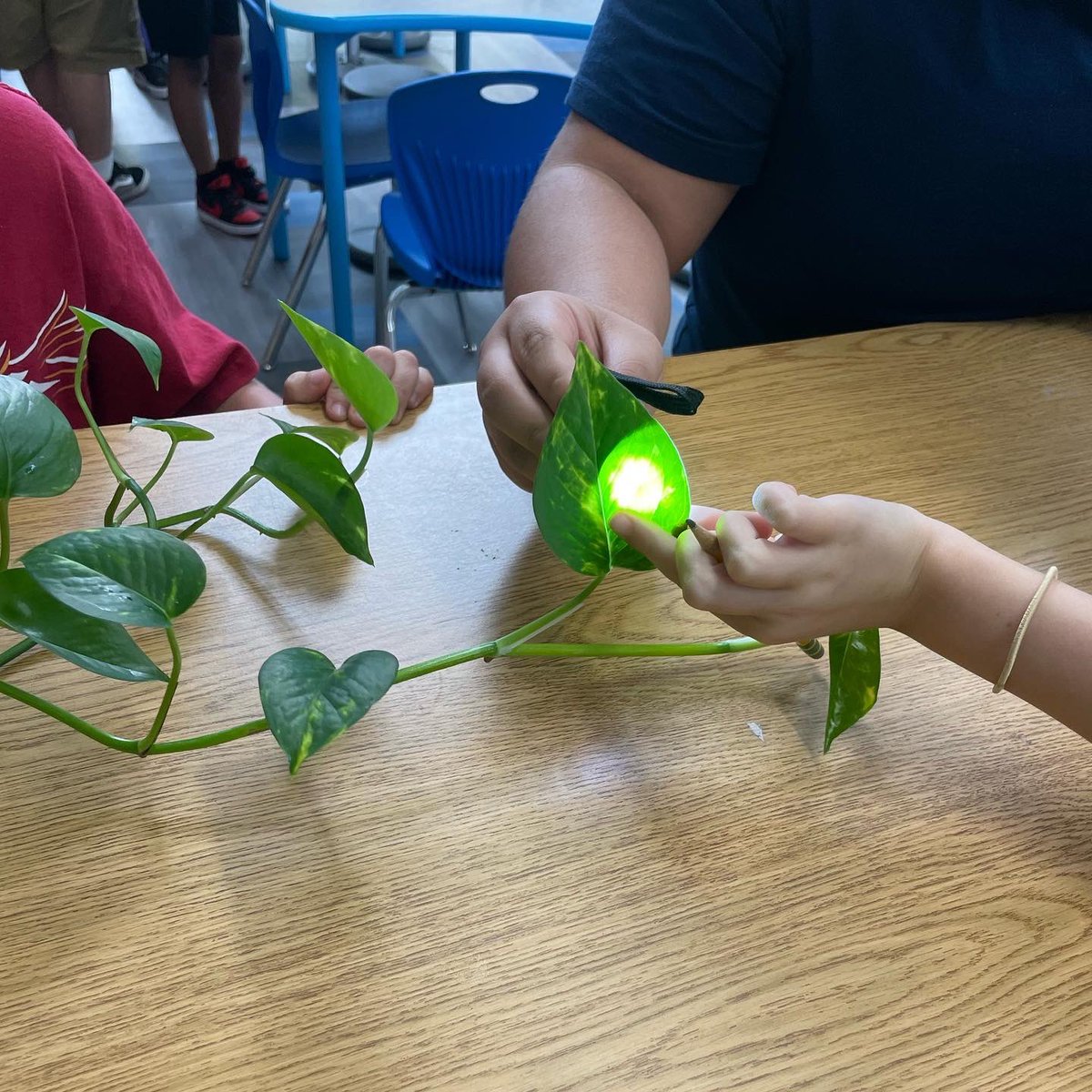 Amy Jerome tweet media