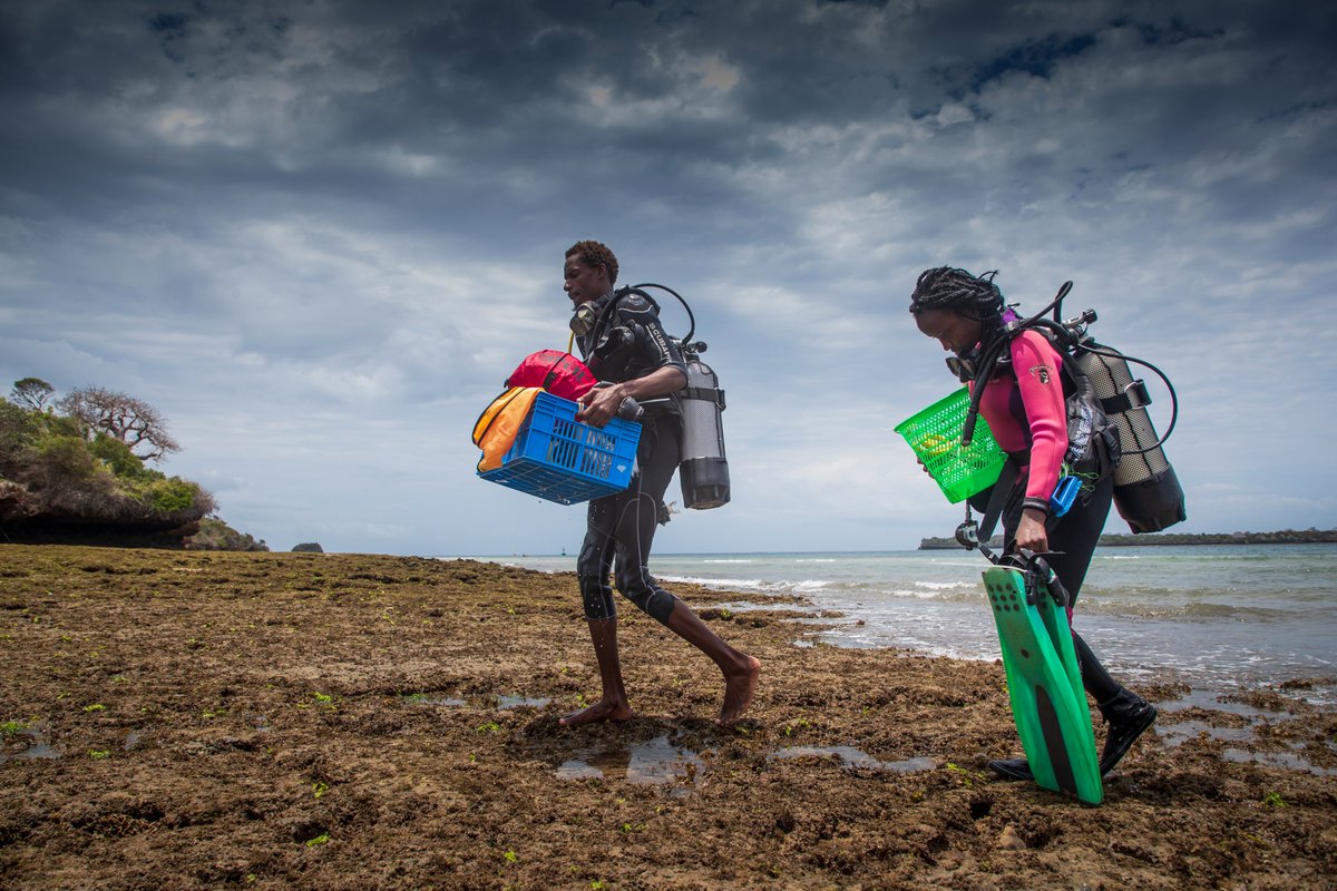 Girls Who Click tweet media