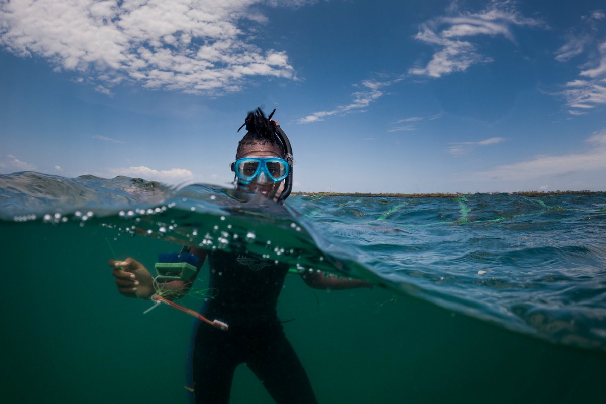 Girls Who Click tweet media