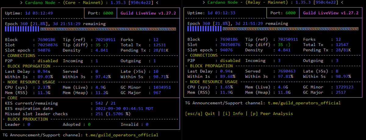 CardanoADAsaverPool tweet media
