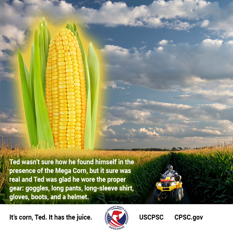 Always wear a helmet when riding your ATV through the corn.