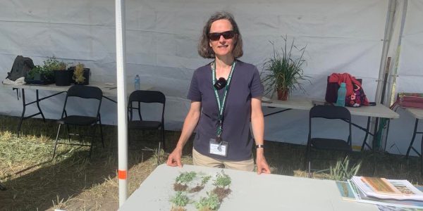 realagriculture's tweet photo. Aphanomyces and fusarium are the main #rootrots of concern, and can be tough to distinguish from each other. Join Sabine Banniza, professor &amp; strategic research program chair w/ @usask in this pulse school episode brought to you by @BASFCanada 

https://t.co/W3aNnjESMT

#cdnag https://t.co/ZIzowi4X8G