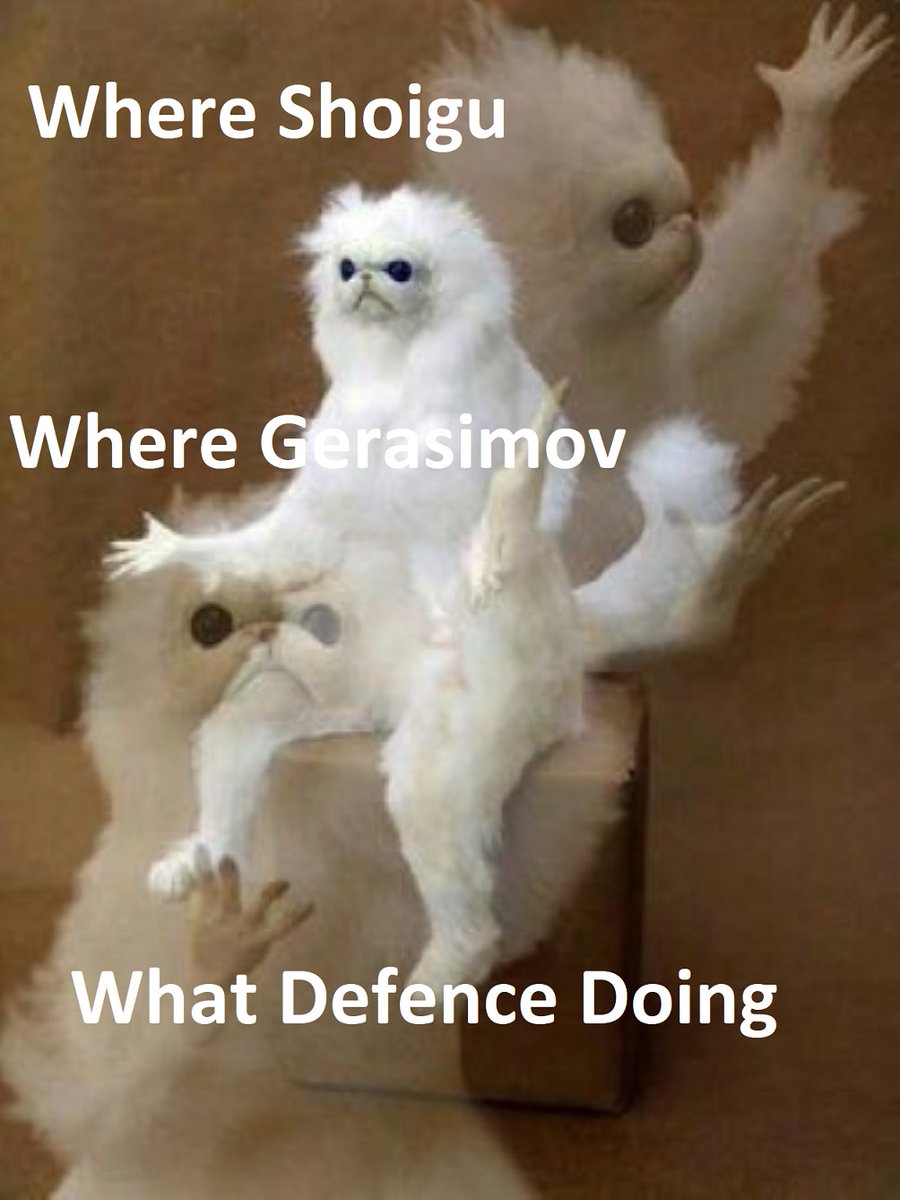 Andrzej13845759's tweet photo. What Defence Doing? 😁 https://t.co/xVk1mWGIew