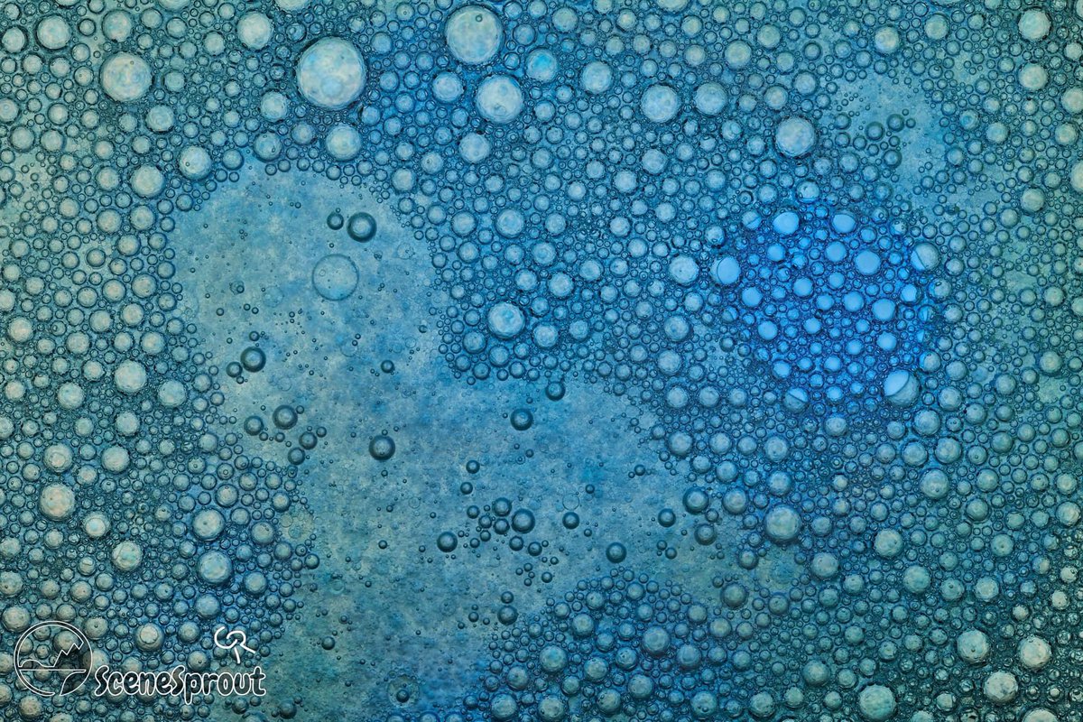 SceneSprout's tweet image. Macro? Photography? #photo #photography #art