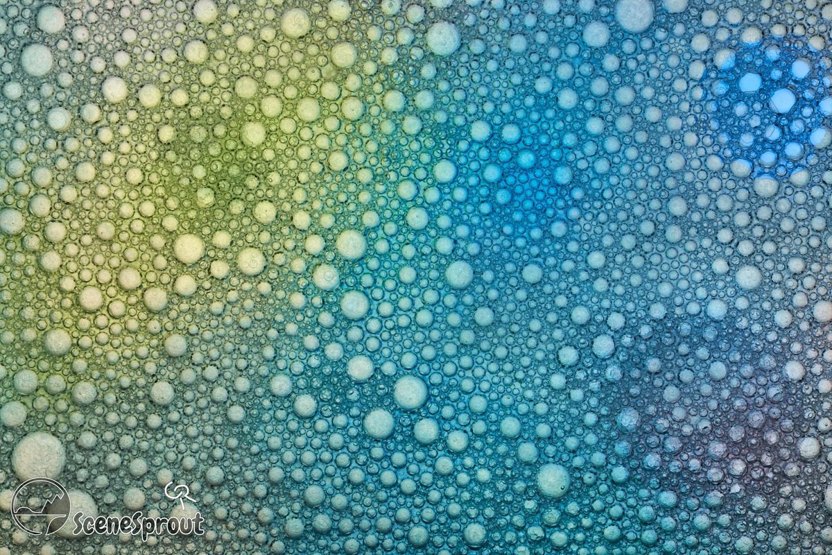 SceneSprout's tweet image. Macro? Photography? #photo #photography #art