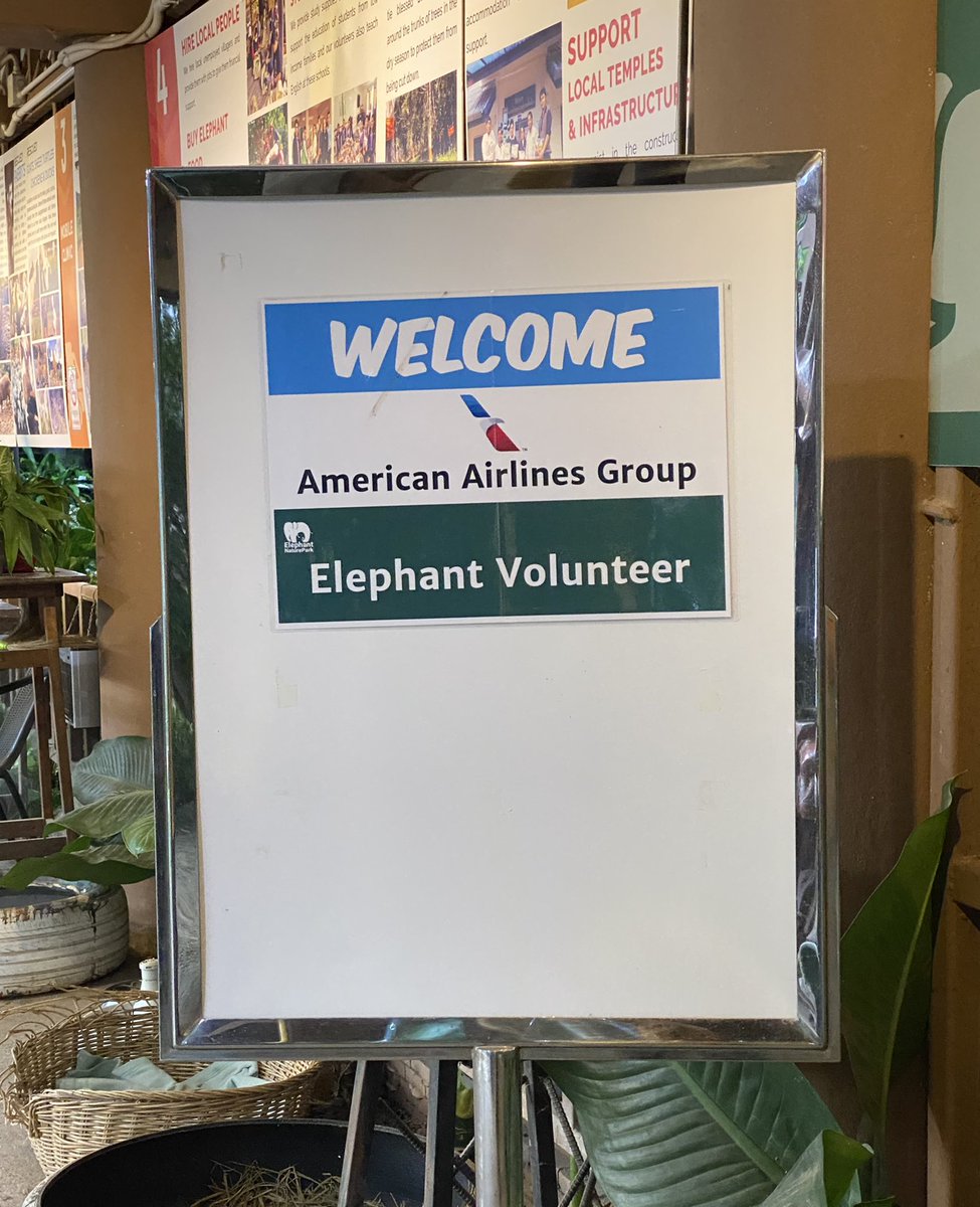 stews4elephants's tweet image. Ellie love at ENP ❤️🐘❤️

@ElephantNatureP 
@S4Eglobal 
#Stews4Elephants
#RefuseToRide
#AmericanAirlines
#SaveElephantFoundation