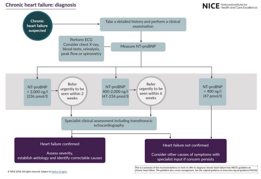 cardioteca's tweet image. 📌 Algoritmo diagnóstico de las Guías NICE ante la sospecha de insuficiencia cardiaca.

🔓 heart.bmj.com/content/heartj…
#CardioTwitter #Cardiologia