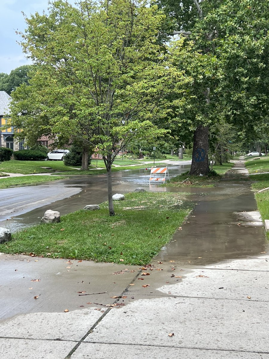cmulka's tweet photo. @PolarBarrett @DetroitWaterDep Separate. Bad luck. Water main broke last night. Great @DetroitWaterDep response time this morning but discovered there’s a tree that needs to be cut down (there’s a blue x on it in the pic) before they can work on it. I can imagine the tree services will be busy tomorrow. https://t.co/7fkx7AAkdn