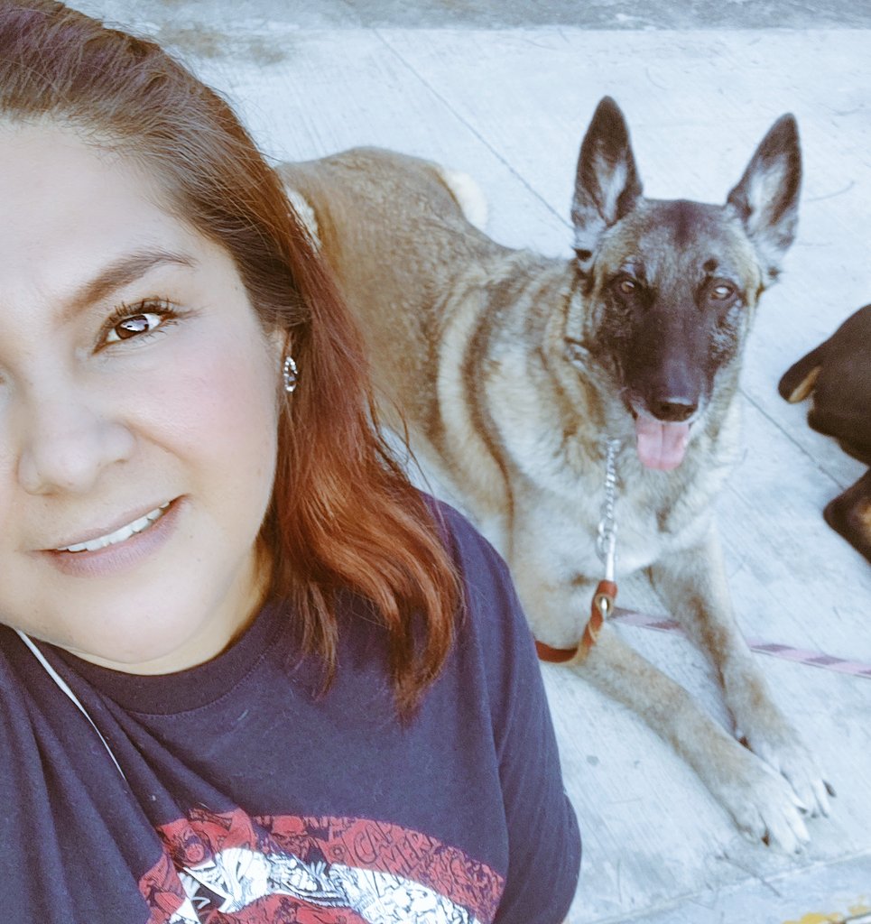 gabbie_viquez's tweet photo. Él es mi pastor y nada me faltará. 🤣🐾♥️ #Askar #K9 #Malinoa #ElMejor https://t.co/DQYDw6CQL2