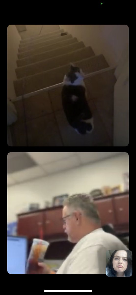 mokope_'s tweet photo. Update: I miss my cat https://t.co/uW19pP7E4L